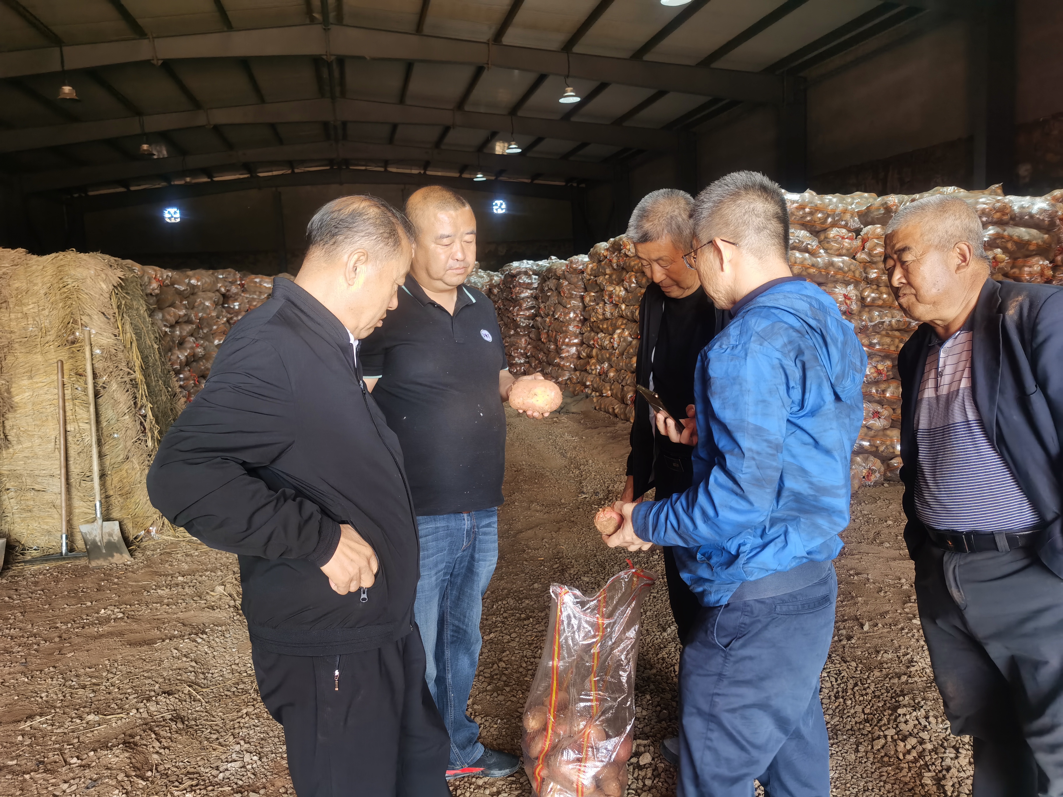 資源對接，互惠共贏 借助商協(xié)會平臺優(yōu)勢助力內(nèi)蒙古馬鈴薯 企業(yè)開拓山東市場